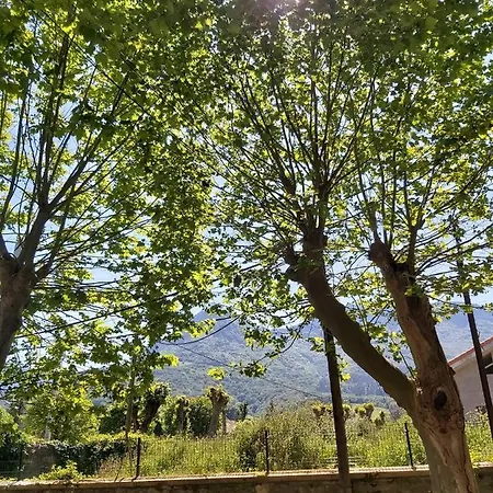 Aspaldiko! Vivienda Familiar En Entorno Natural * Orduña